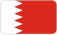 Dubai flag