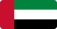 Dubai flag