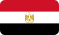 Dubai flag