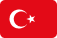 Dubai flag