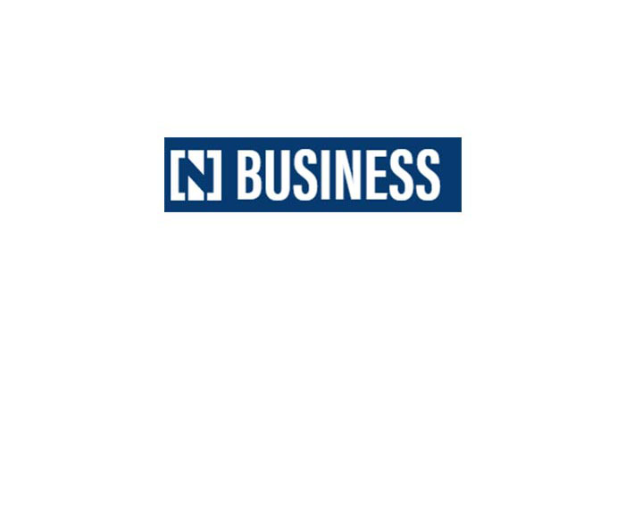 n-business logo