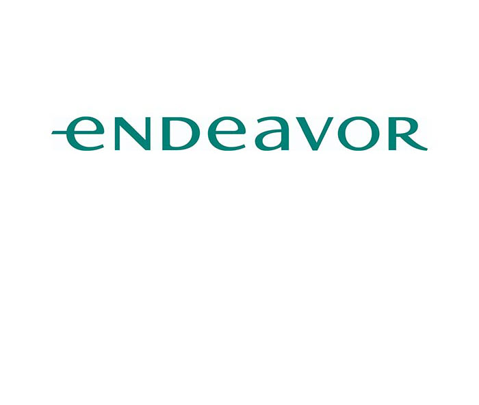 endeavor logo